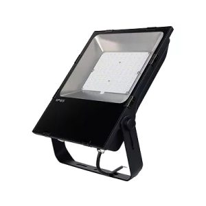 Multi-Voltage Flood Light